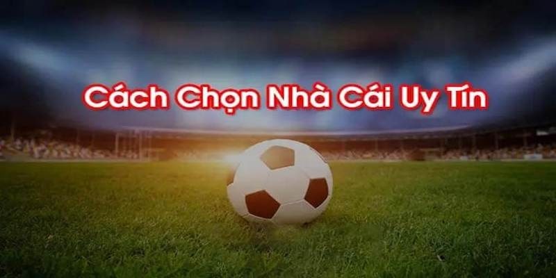 Các tiêu chí chọn nhà cái uy tín mà bạn nên tham khảo Các tiêu chí chọn nhà cái uy tín mà bạn nên tham khảo